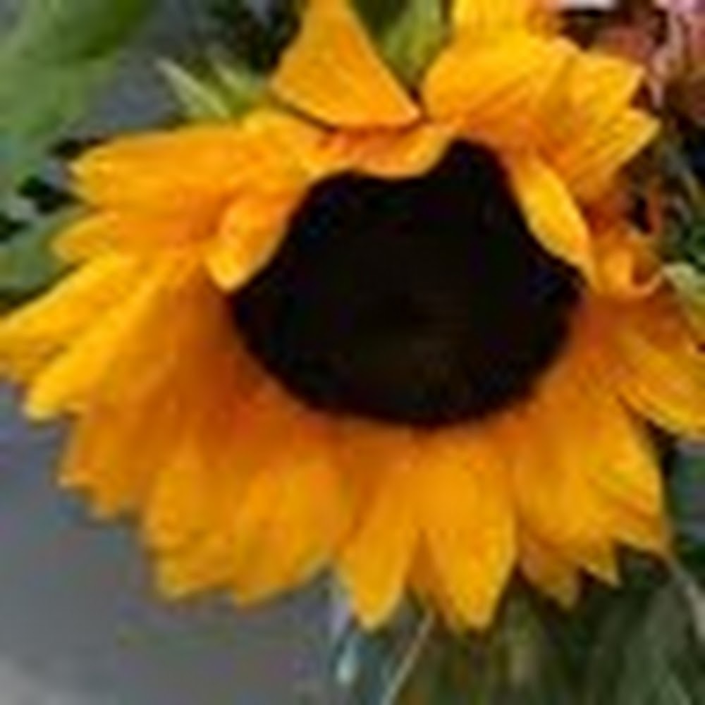 Meet your Posher, Becky